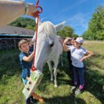 Selbstgebasteltes Karotten-Spielzeug