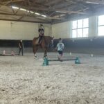 Über Stock und über Stein 🐎...